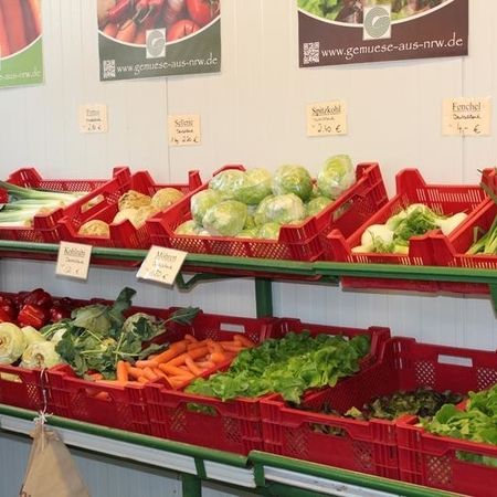Frisches Gemüse in unserer Auslage