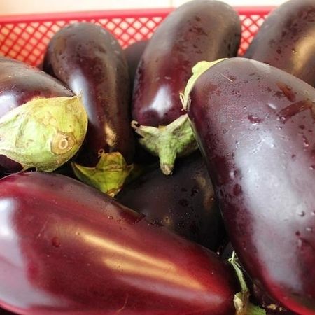 Mehrere Auberginen in einem roten Container