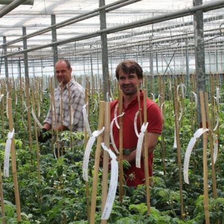 Unsere Mitarbeiter im Gewächshaus