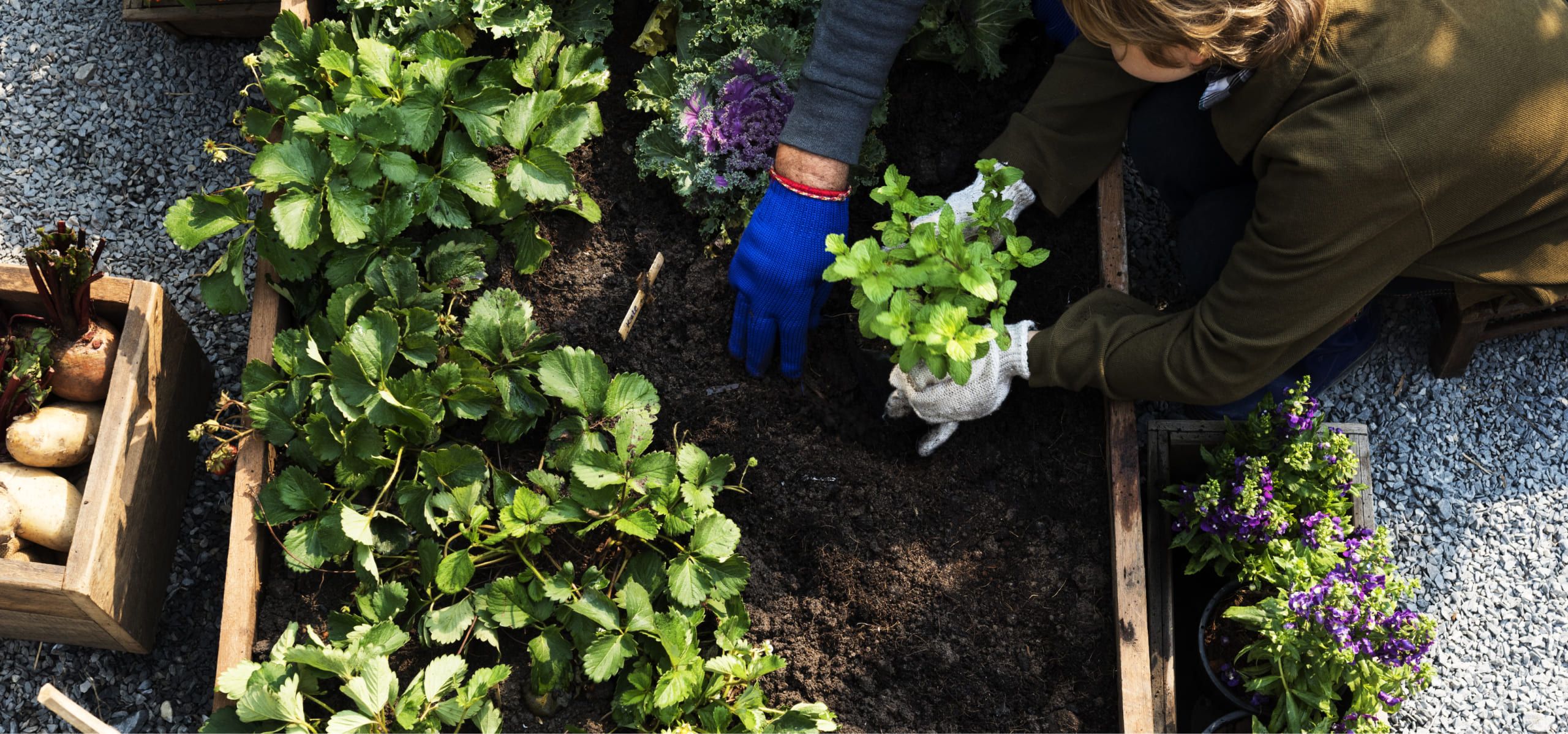 Eine Frau beugt sich über die Erde und pflanzt Gemüse in ihrem bunten Garten.